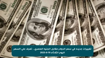 تغييرات جديدة في سعر الدولار مقابل الجنيه المصري.. تعرف على السعر اليوم الثلاثاء 19-8-2025